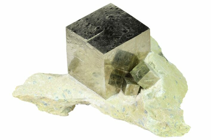 Four Lustrous, Natural Pyrite Cubes in Rock - Navajun, Spain #168519